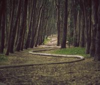 2 lata z programowania Błażeja - prawdziwa historia przebranżowienia na Junior Java Developer'a