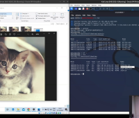 Video Poradnik - Czy za pomocą obrazka ze słodkim kotem można przejąć zdalną kontrolę nad komputerem? Ethical Hacking - YouTube